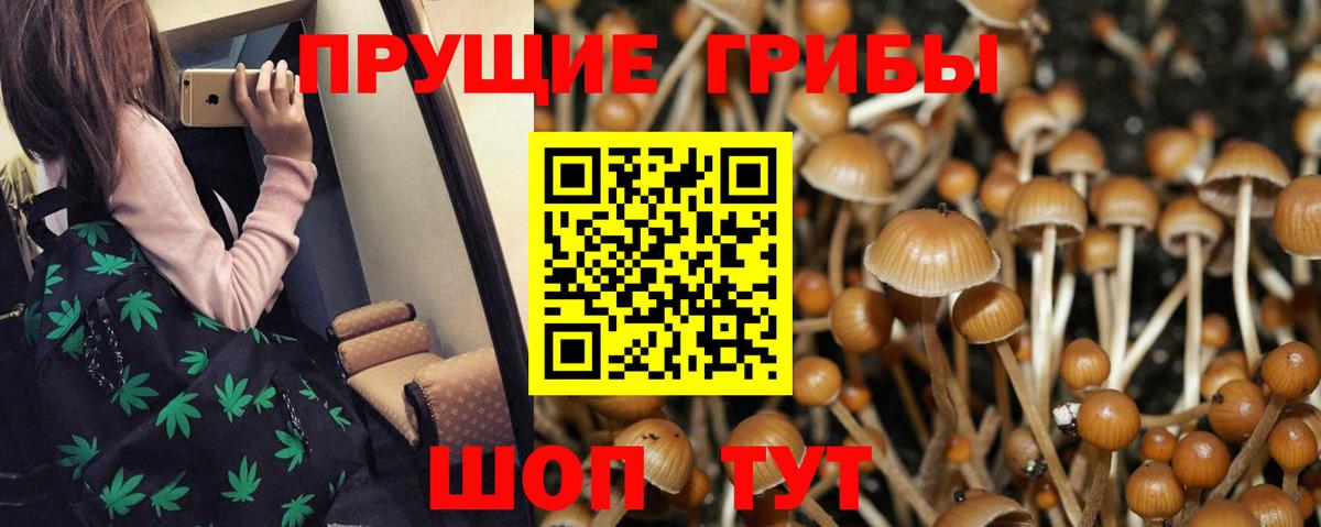 Галлюциногенные грибы мицелий Североморск