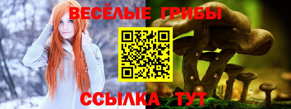 Псилоцибиновые грибы мухоморы  Вход с VPN  Псилоцибиновые грибы MAGIC MUSHROOMS  Североморск 